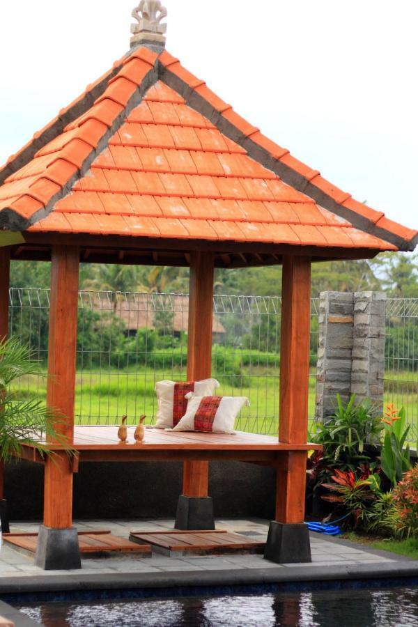 Private Pool - Saia Villa Ubud (Bali)