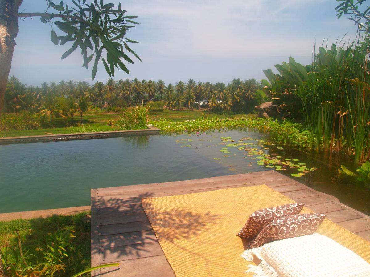 Bali Eco Matekap Selemadeg (Bali)