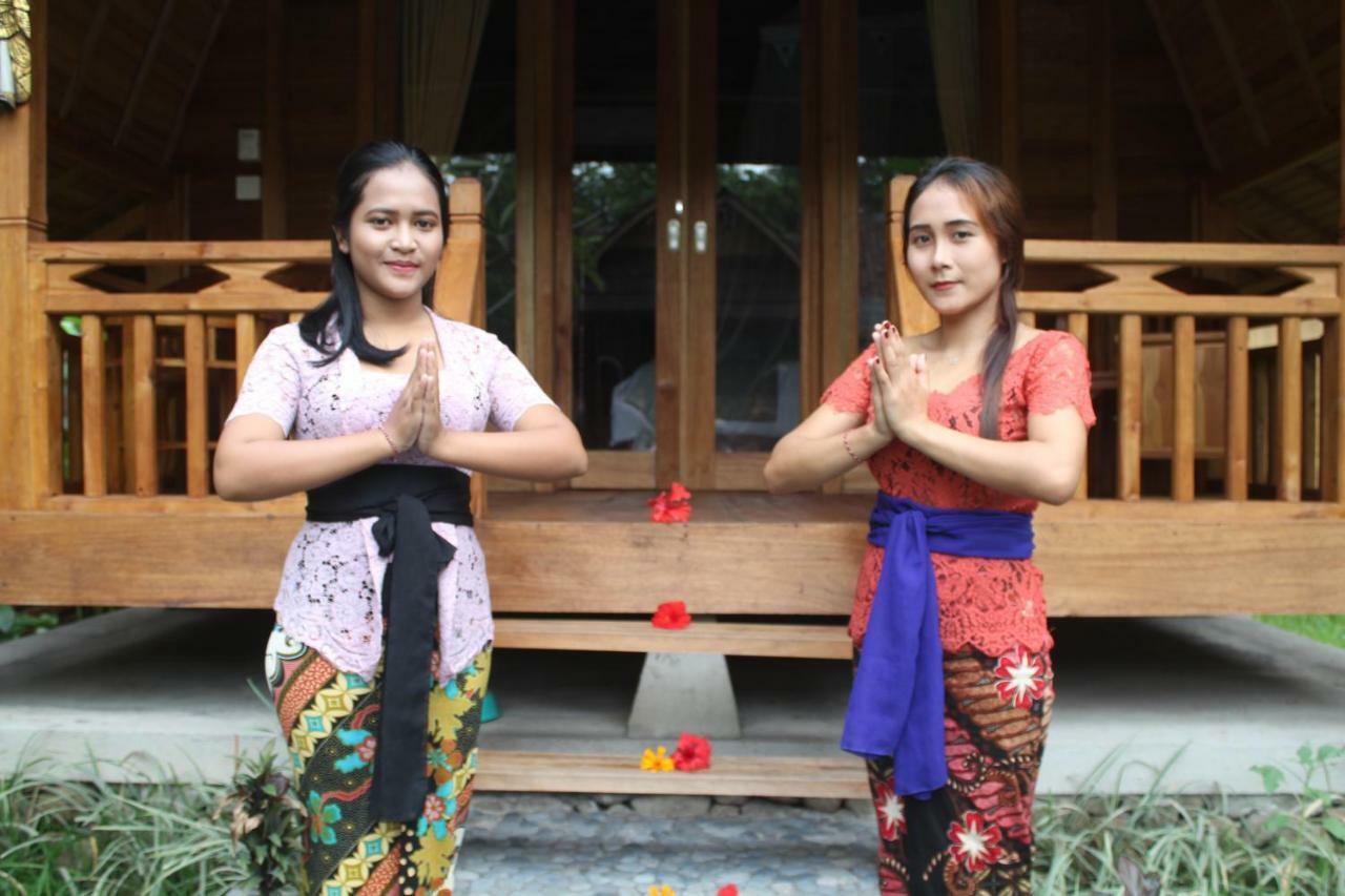Halumba Eco Bali Tejakula