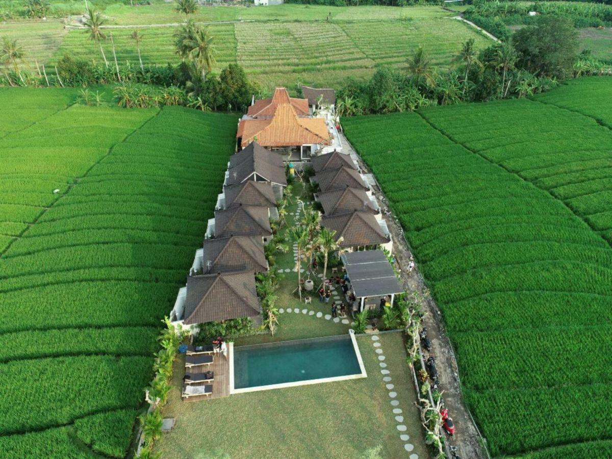 Alisha Pererenan Canggu (Bali)