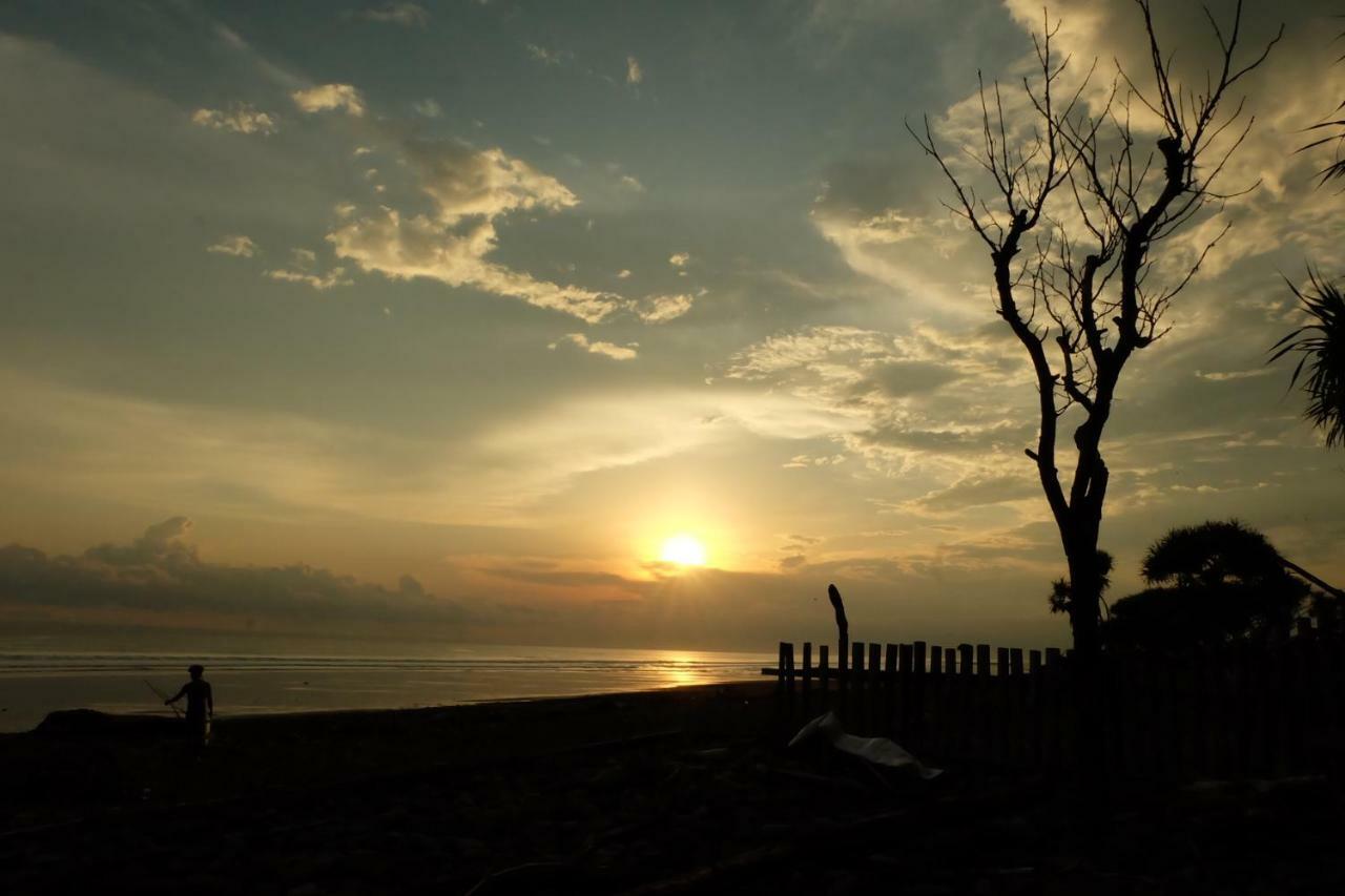 The Nyamo Surf & Pulukan