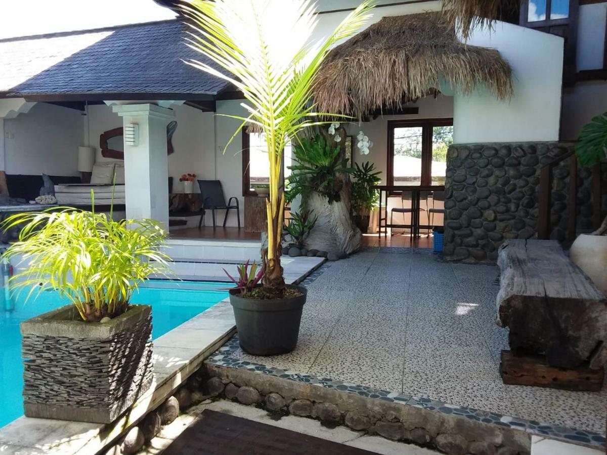 The Dream Villa