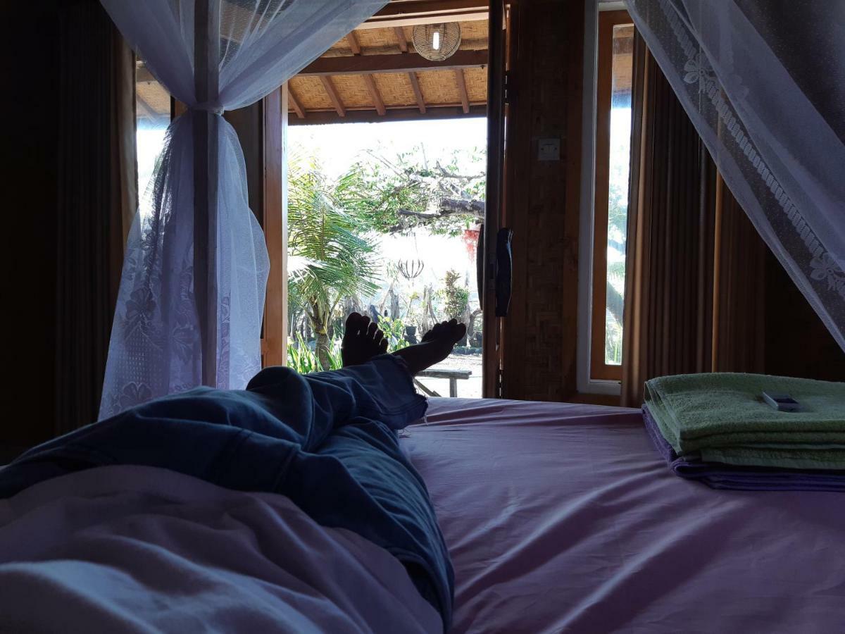 Friend House & Surf *