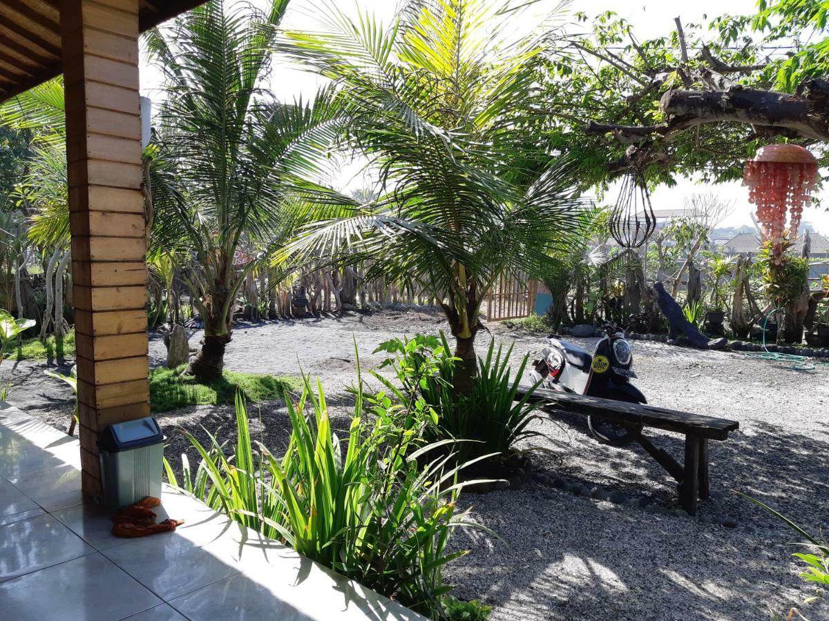 Friend House & Surf Guest house *