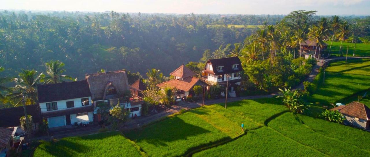 Homestay Made Punia's Jungle Ubud (Bali)