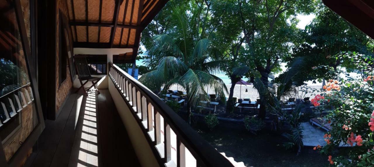 Bali Coral Amed (Bali)