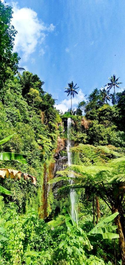 Ananda Lemukih Homestay Singaraja (Bali)