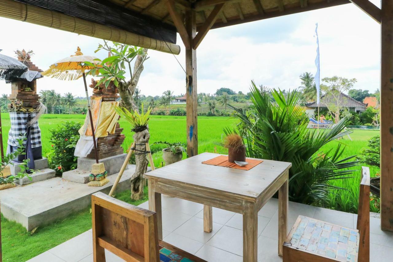 Wisma tamu Alisha Pererenan 3*