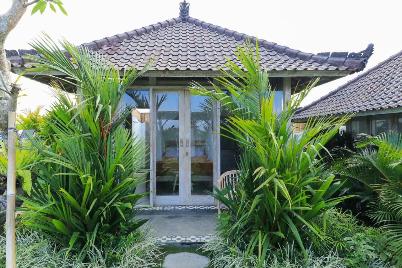 Wisma tamu Alisha Pererenan 3*