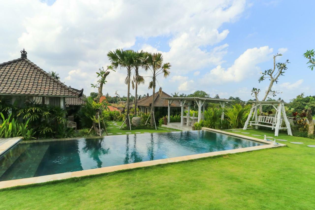Alisha Pererenan Canggu (Bali)