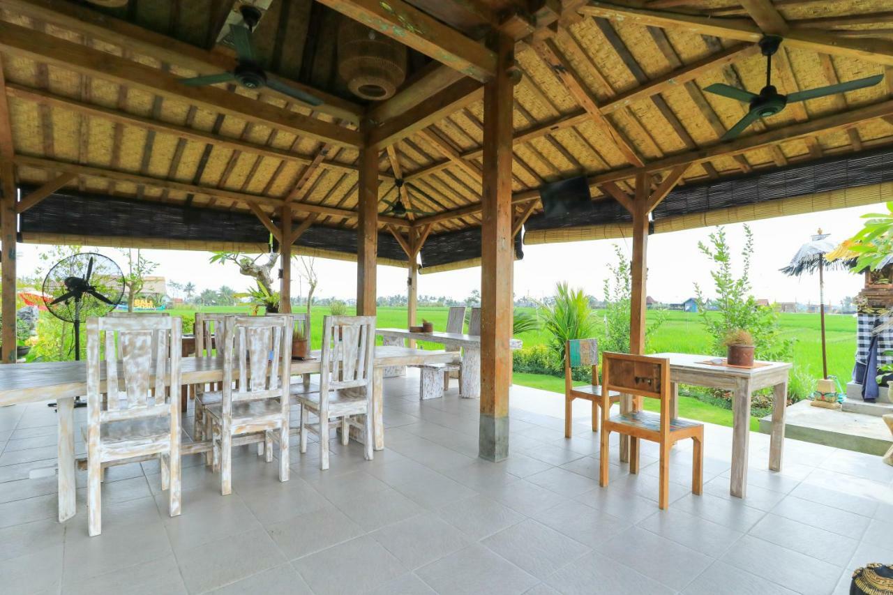 Alisha Pererenan Canggu (Bali)