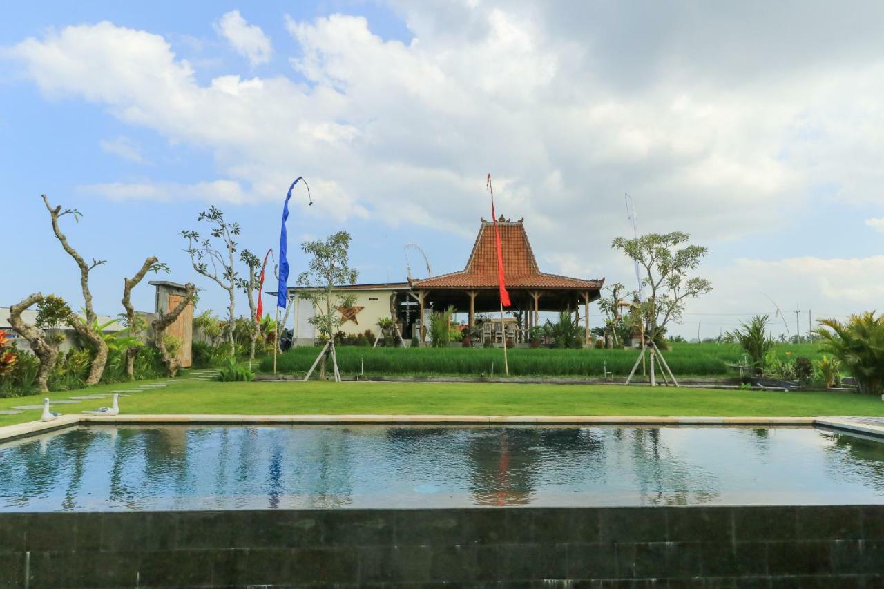 Wisma tamu Alisha Pererenan 3*