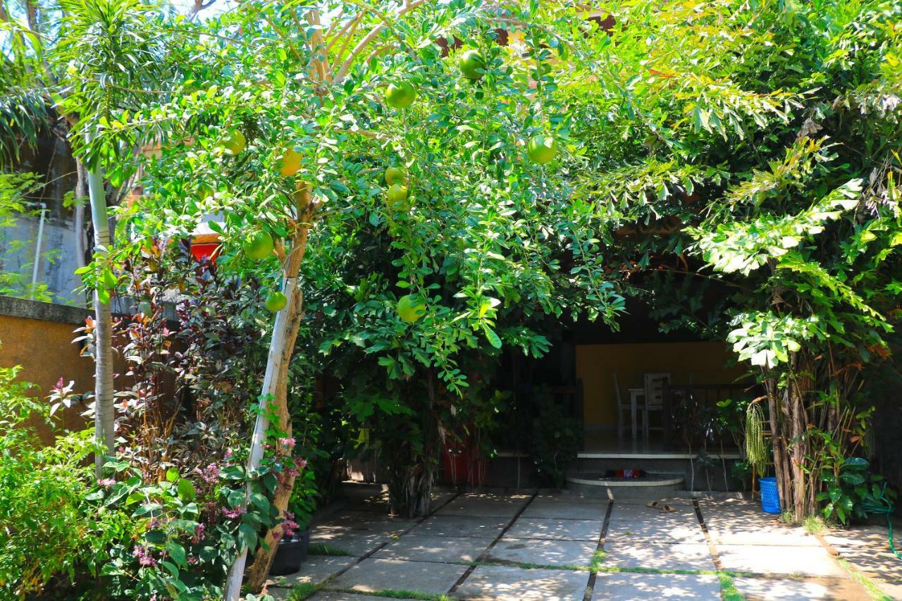 Rumah Wayans Lipah 2* Amed (Bali)