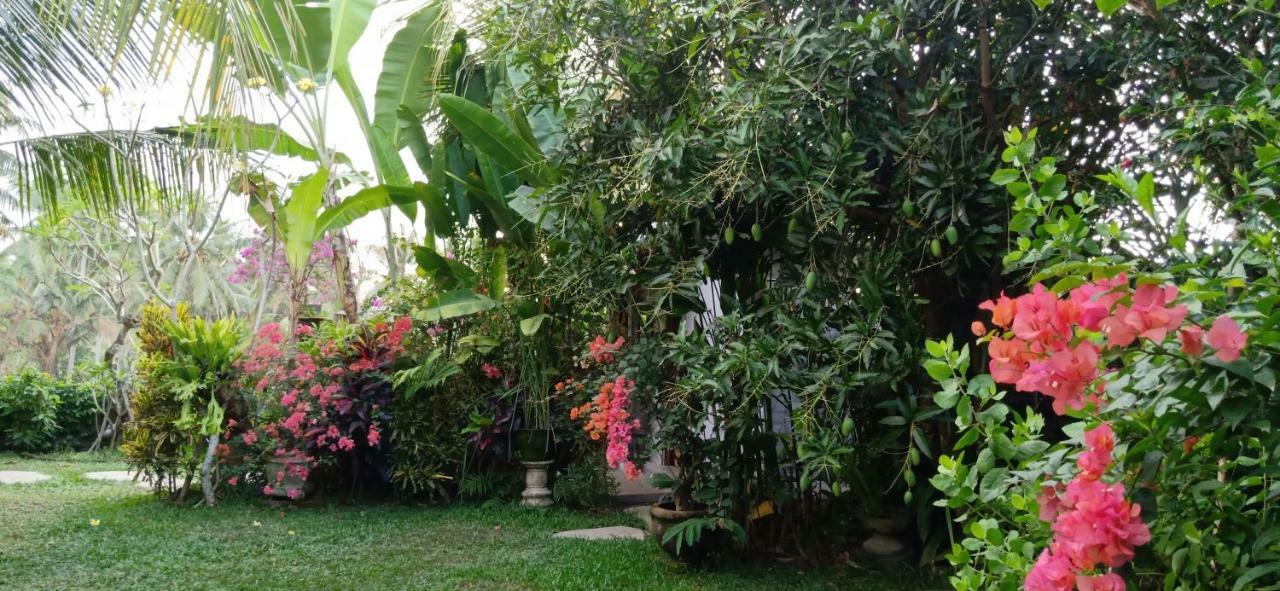 Baliwid Ubud (Bali)
