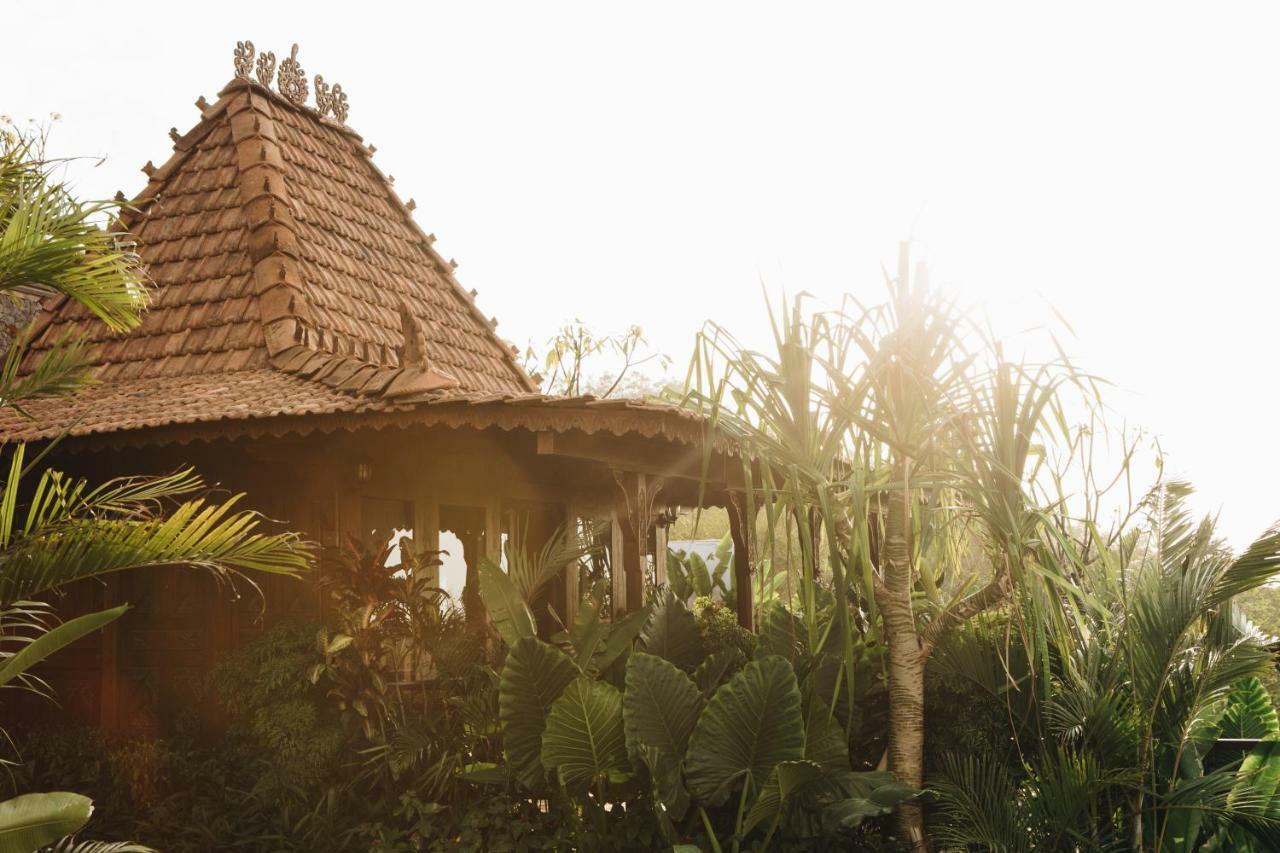 White Tortoise Eco Villa's * Uluwatu (Bali)
