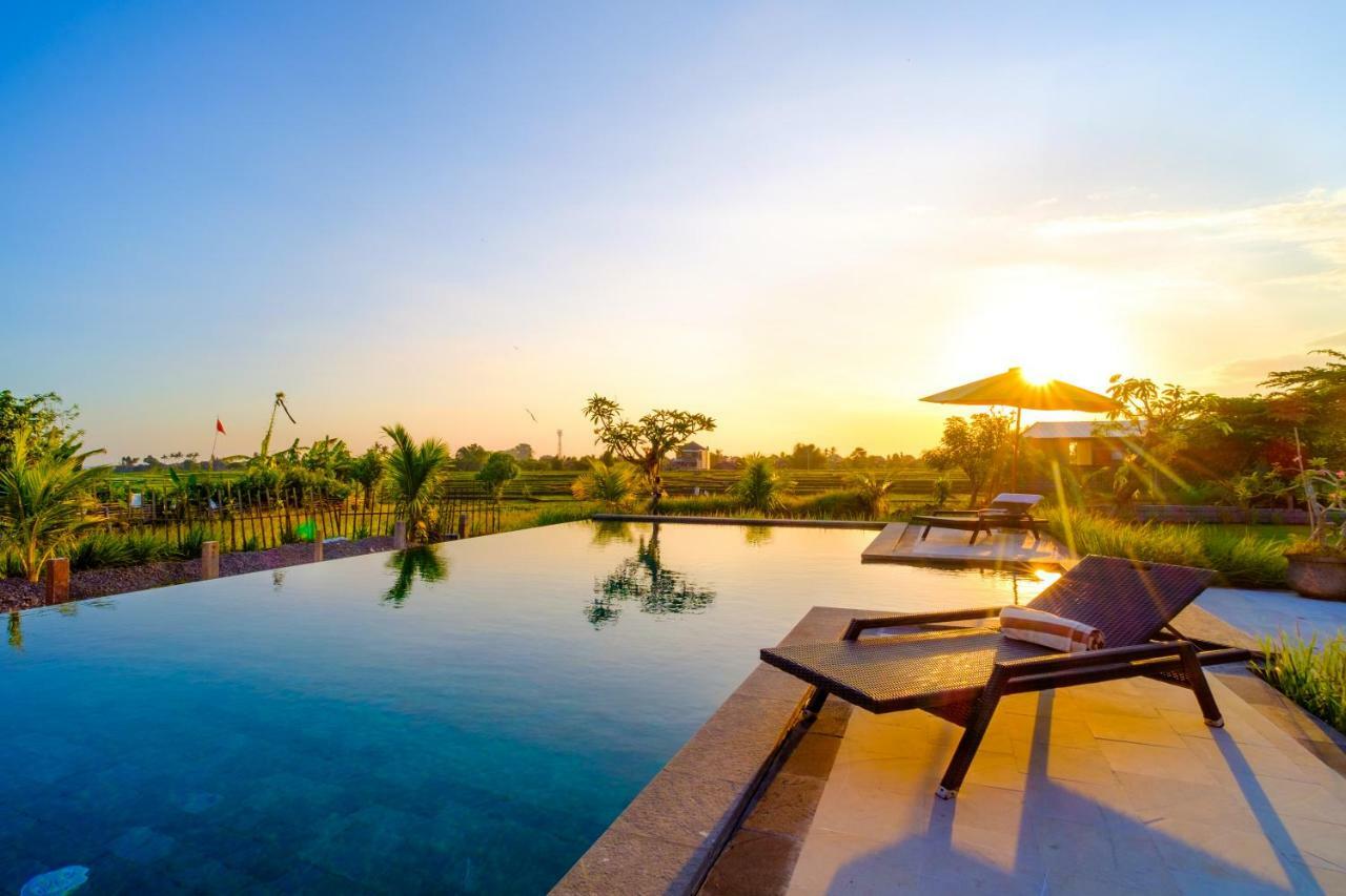Tempat Tidur & Sarapan Wooden Paradise