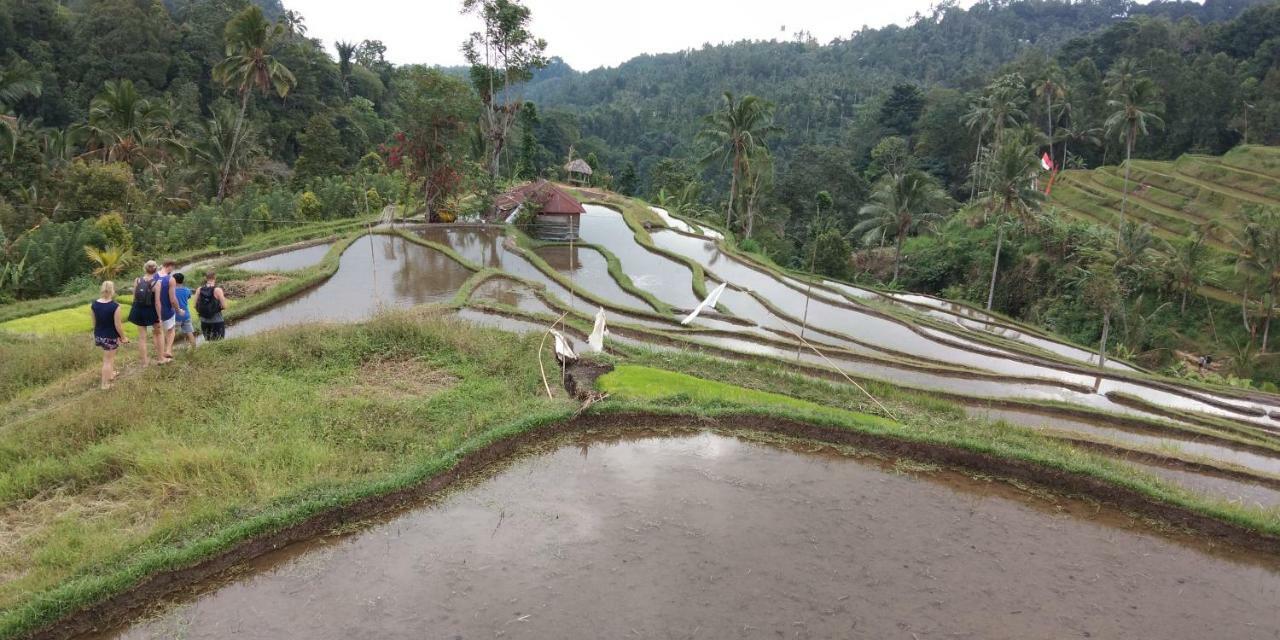 Esa Di Kubu Homestay Singaraja (Bali)