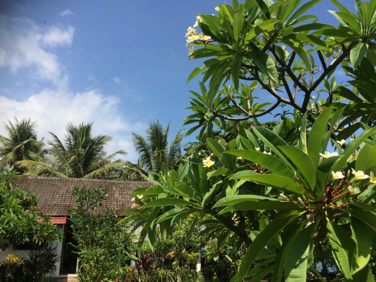 Bali Segara Lestari Oceanfront Guest house *