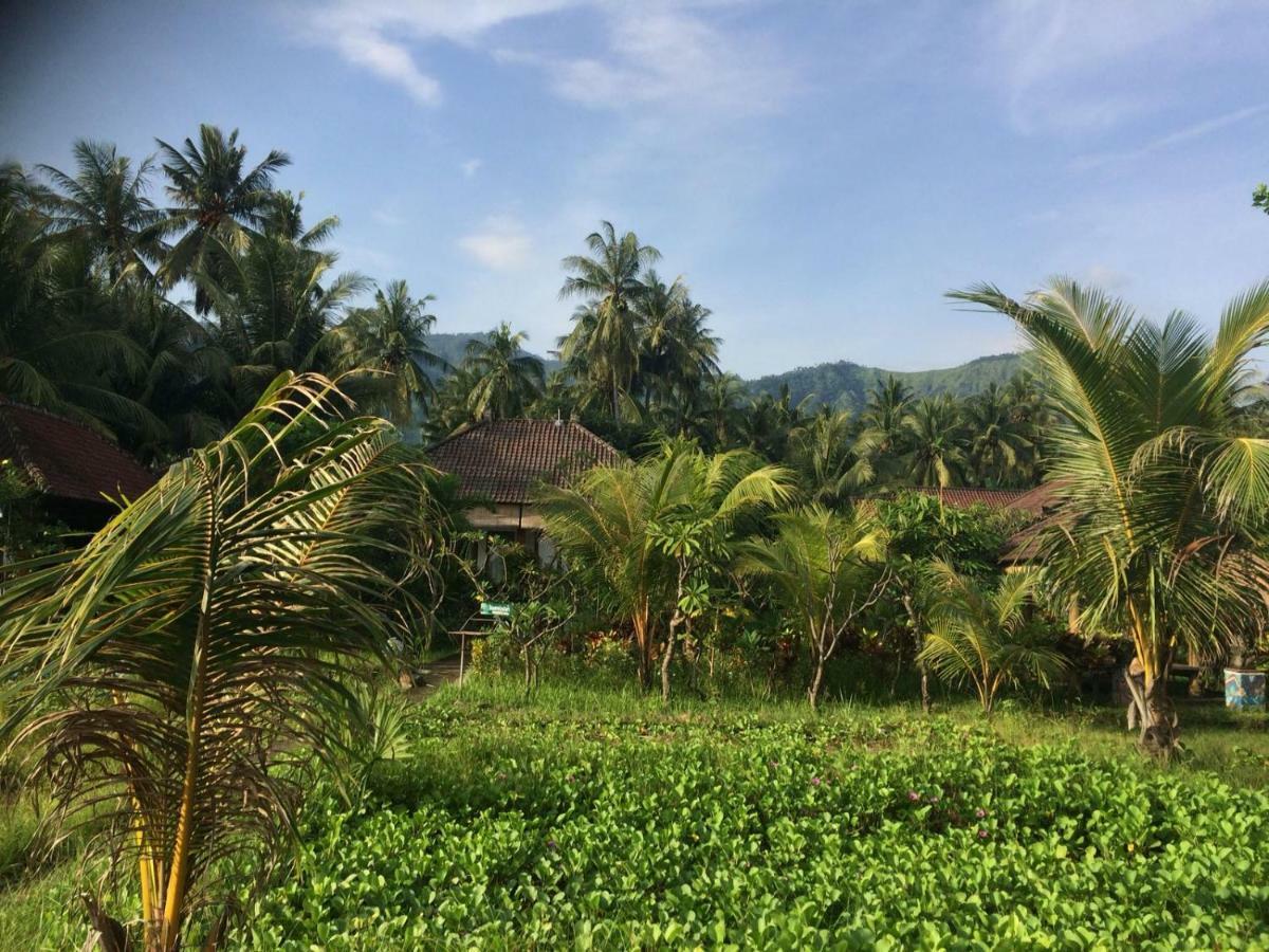 Guest house Bali Segara Lestari Oceanfront Tejakula