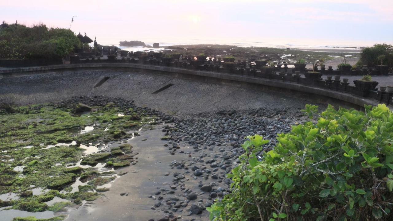 Padi * Canggu (Bali)
