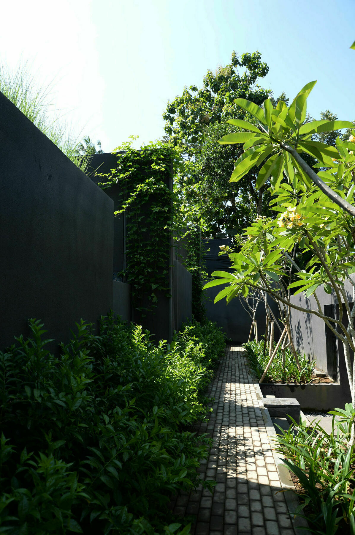 Origin Ubud (Bali)