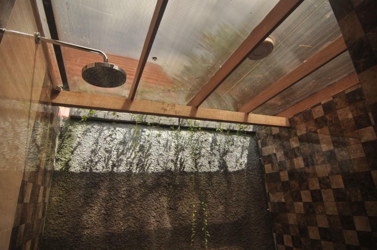 Guest house Dedeane 3*