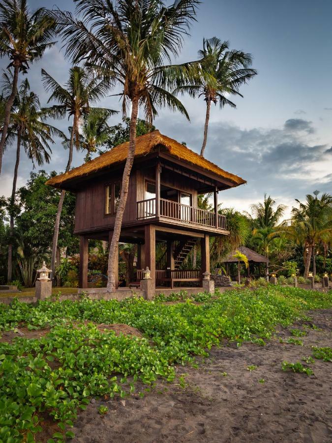 Cantik Lovina (Bali)