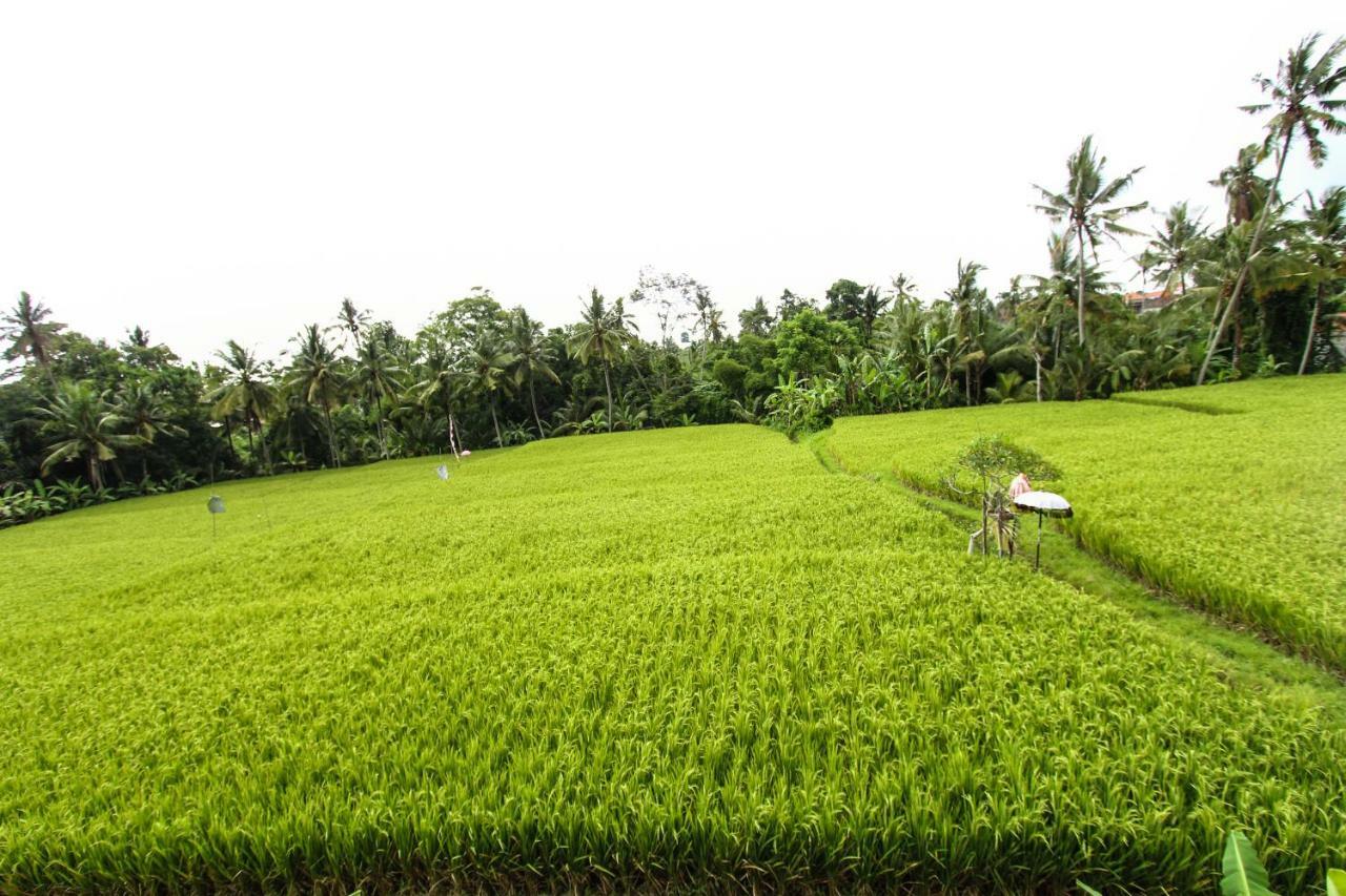 Hidden Yone Village 4* Ubud (Bali)