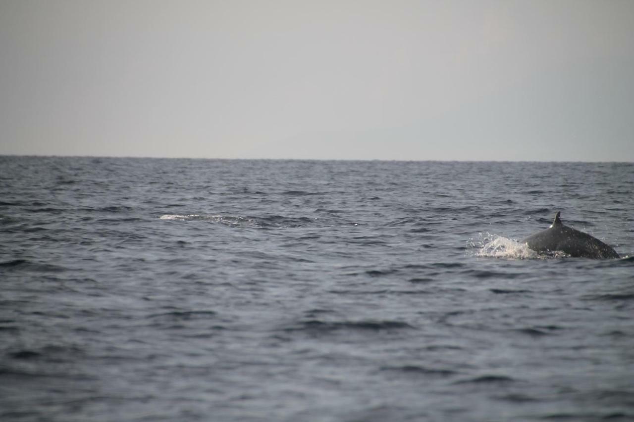 Bali Segara Lestari Oceanfront * Tejakula