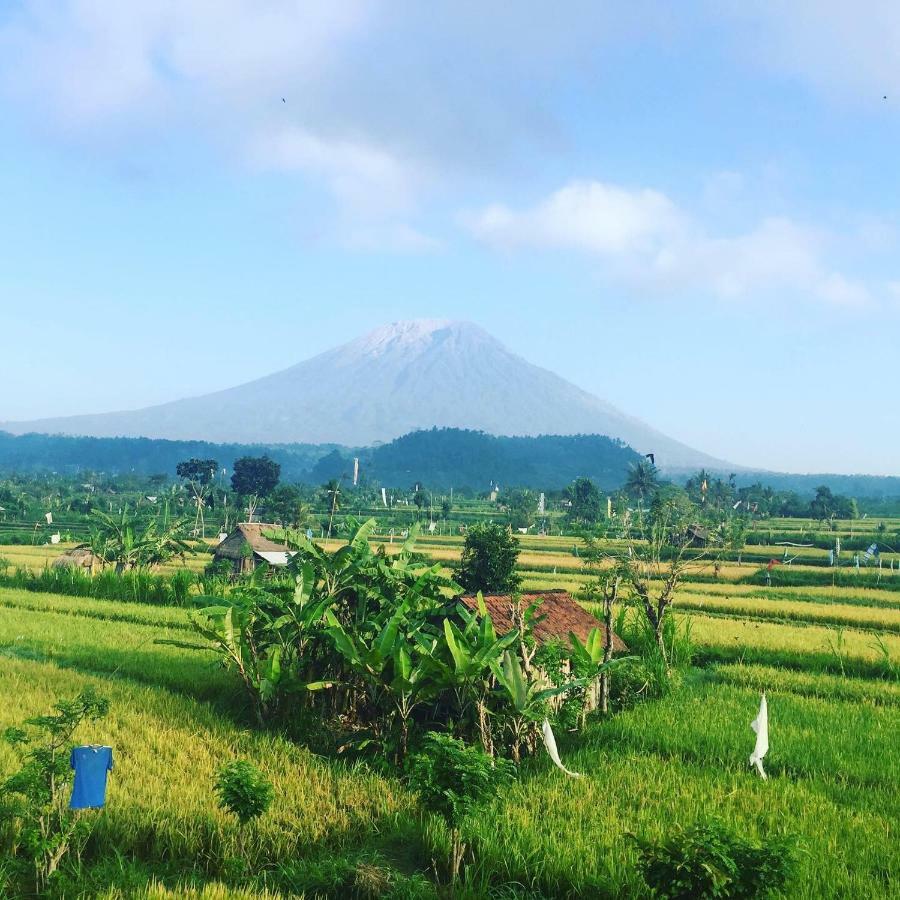 Guest house Gumibali