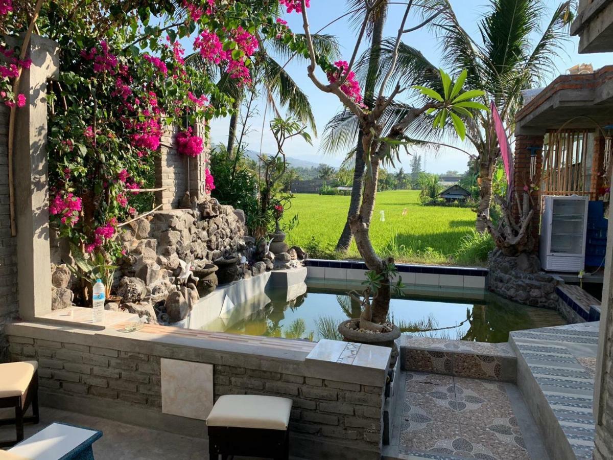 Apollo Hostel Lovina (Bali)
