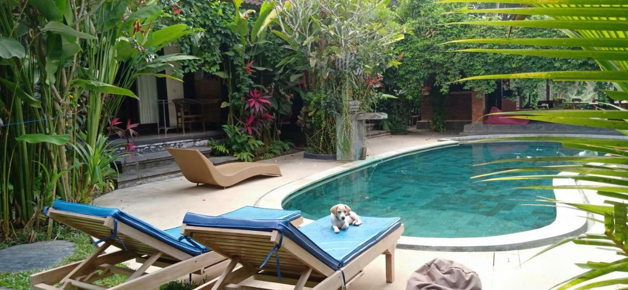 Guest house Baliwid Ubud (Bali)