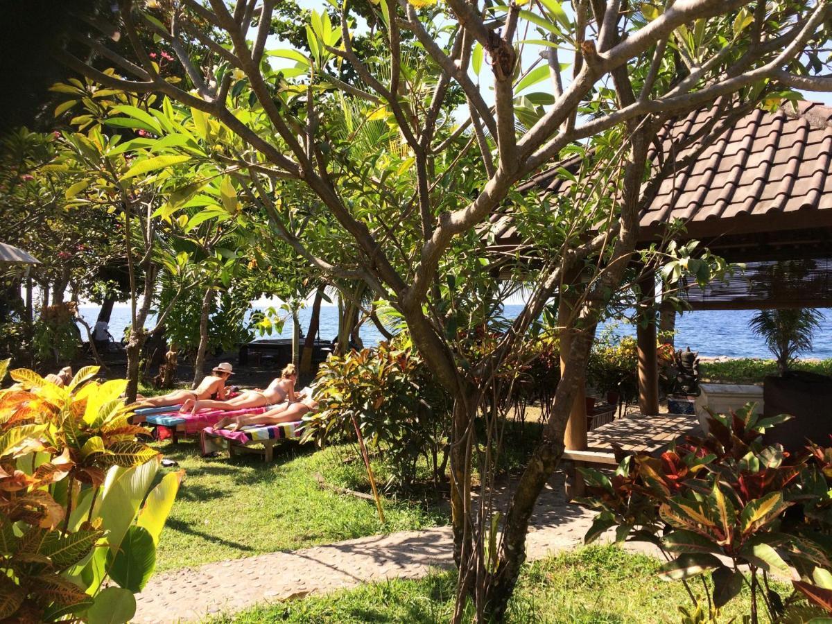 Bali Segara Lestari Oceanfront Guest house Tejakula
