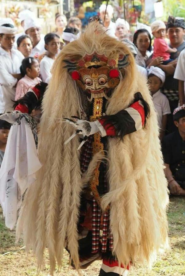 Halumba Eco Bali Tejakula