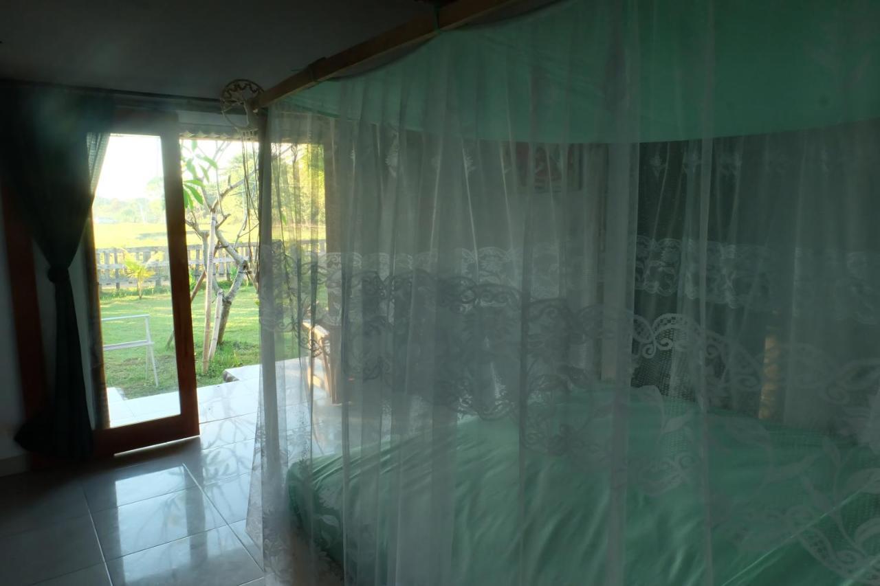Guest house The Nyamo Surf & Pulukan