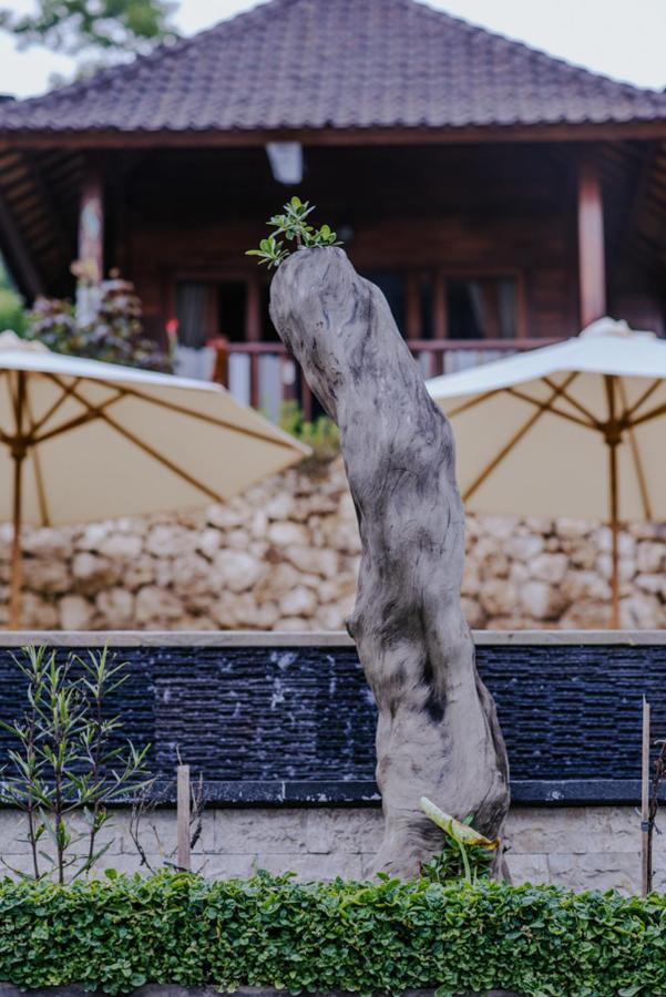 Wisma tamu Sunday Huts Nusa Lembongan (Bali)