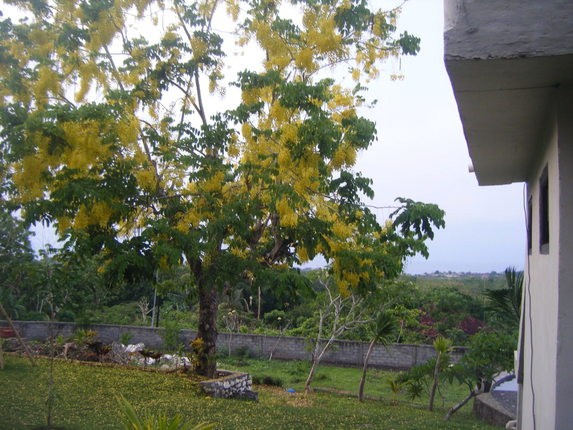 3d Pecatu (Bali)