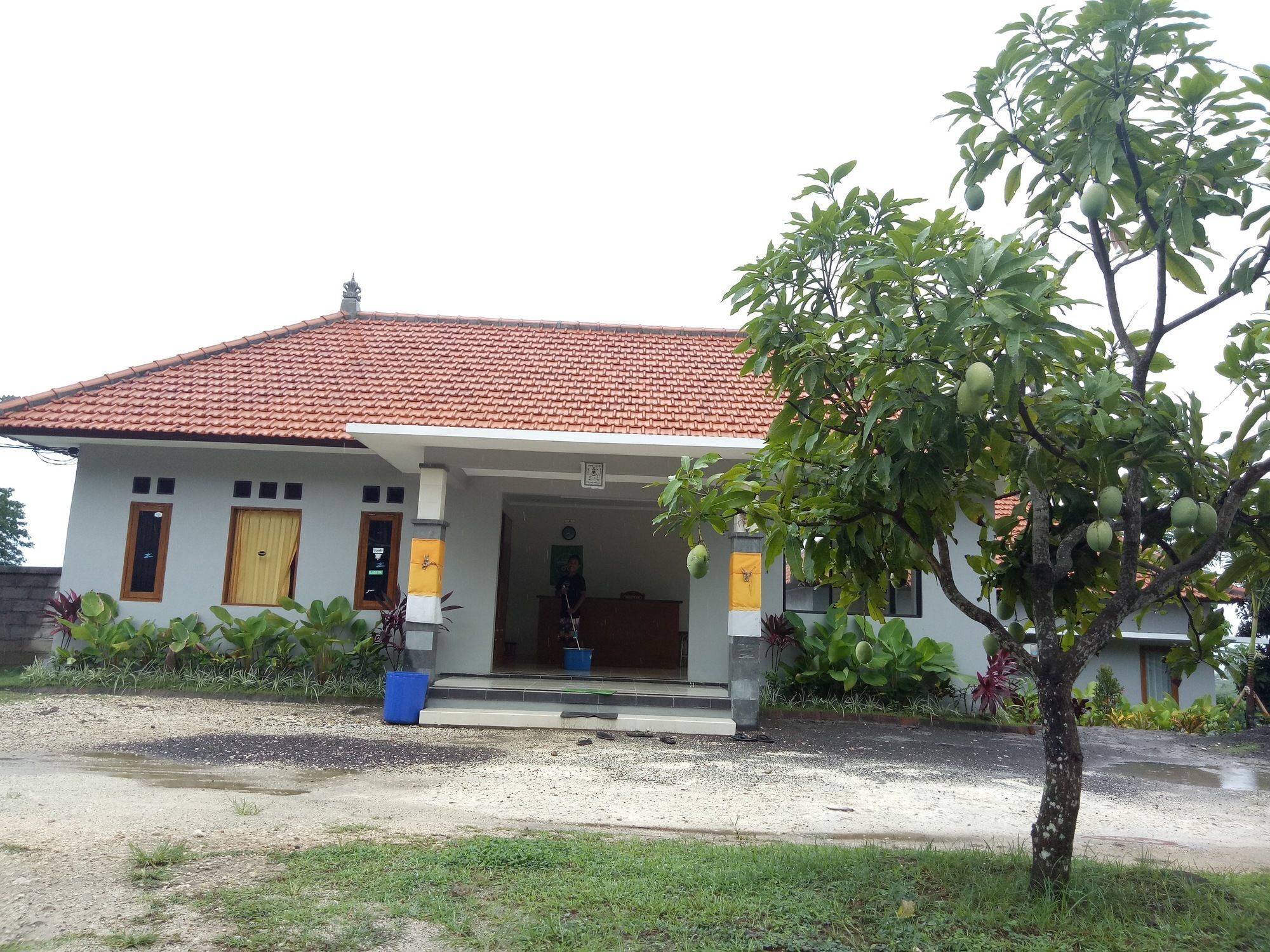 Guest house 3d *