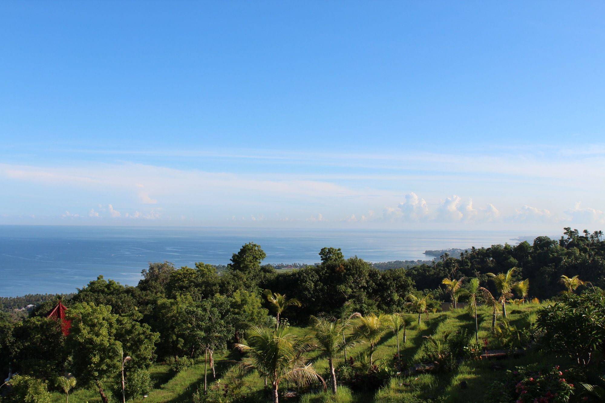 Resort The Hamsa Lovina (Bali)