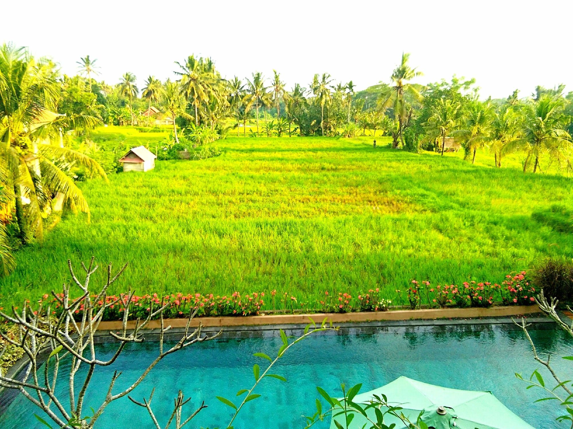 Artini Bisma 4*