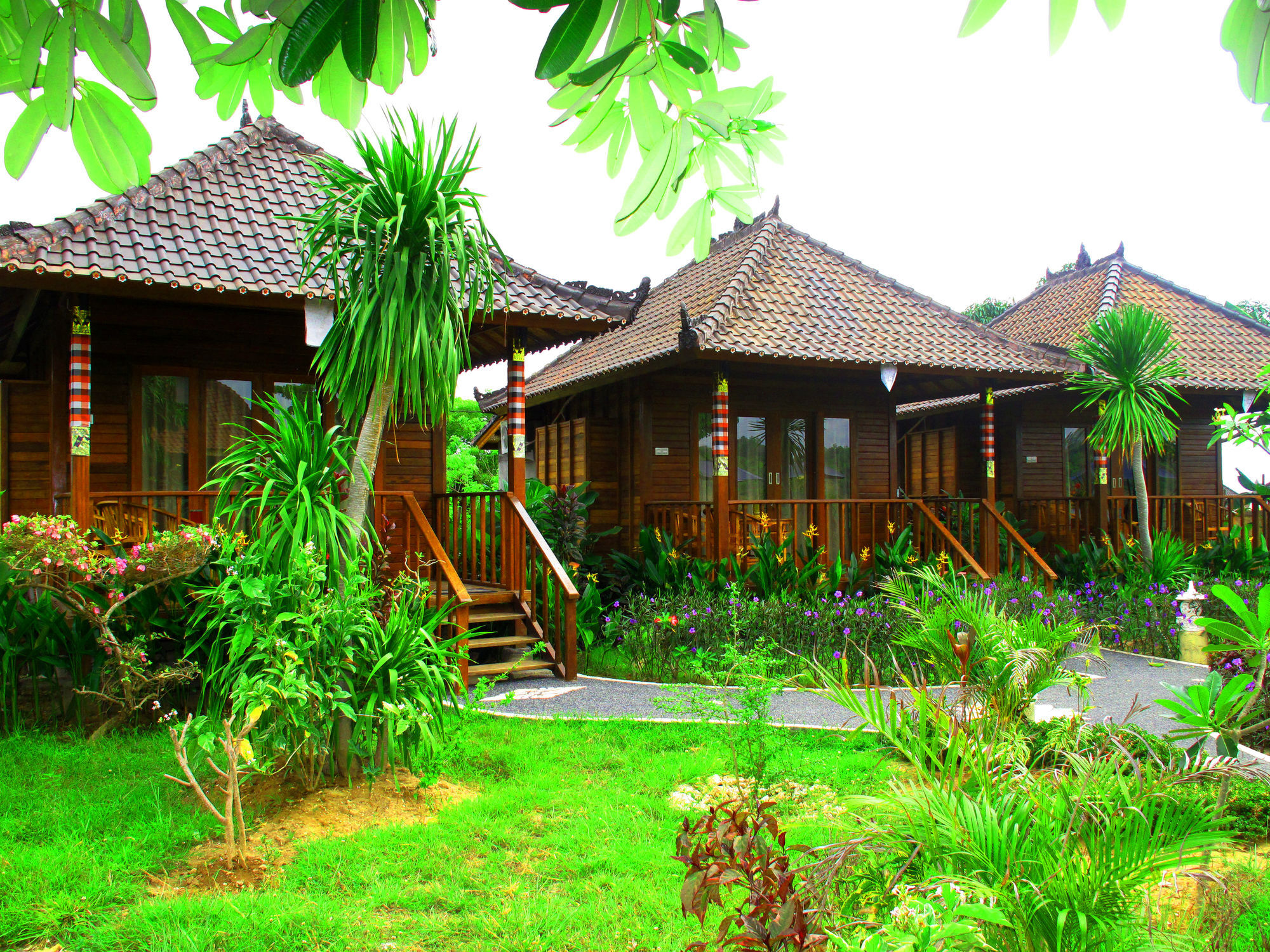 Wisma tamu Dimas Huts