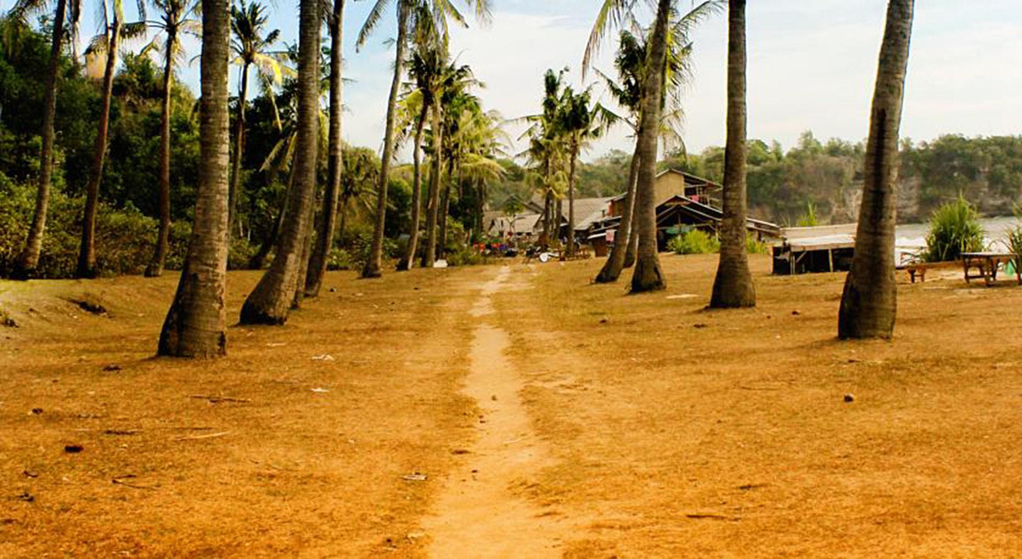 Balangan Surf Guest house 2*