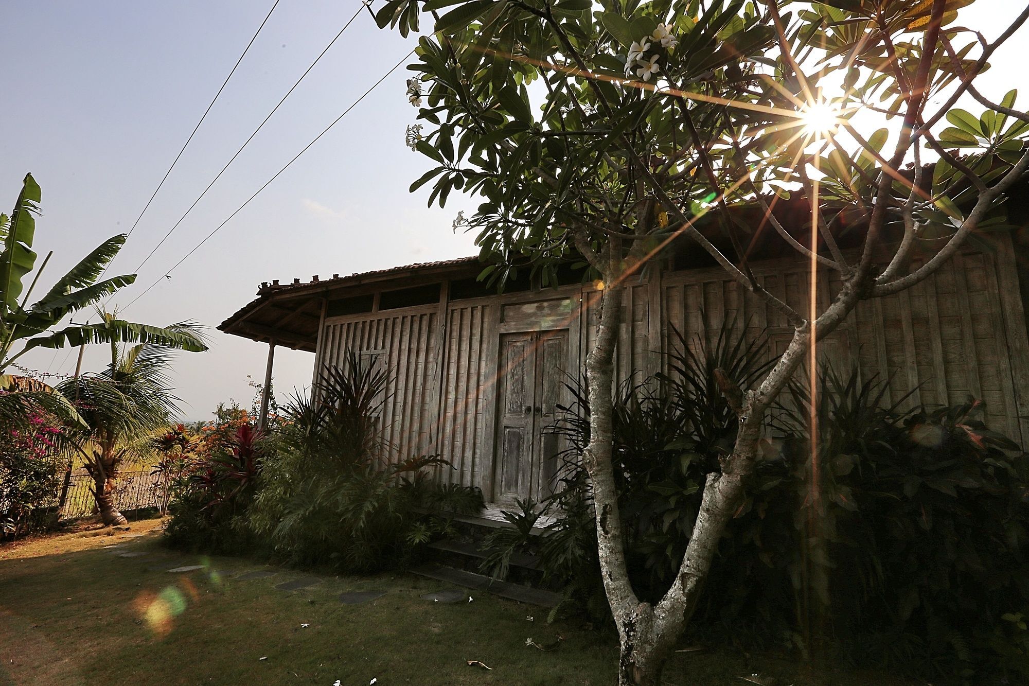 Holiday park The Sanyas Retreat 4*
