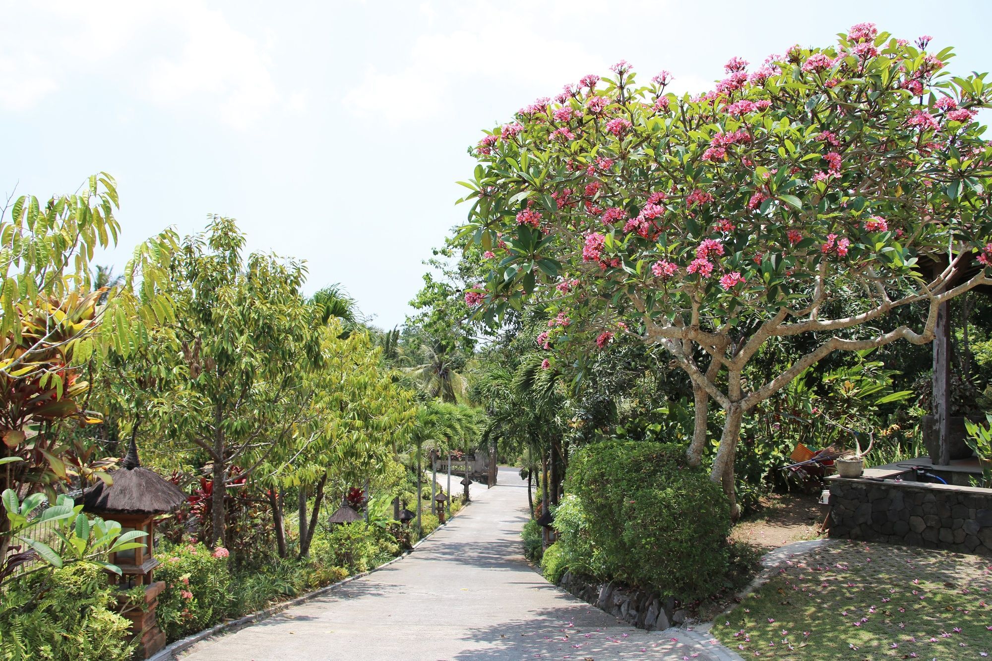 The Sanyas Retreat Holiday park 4*