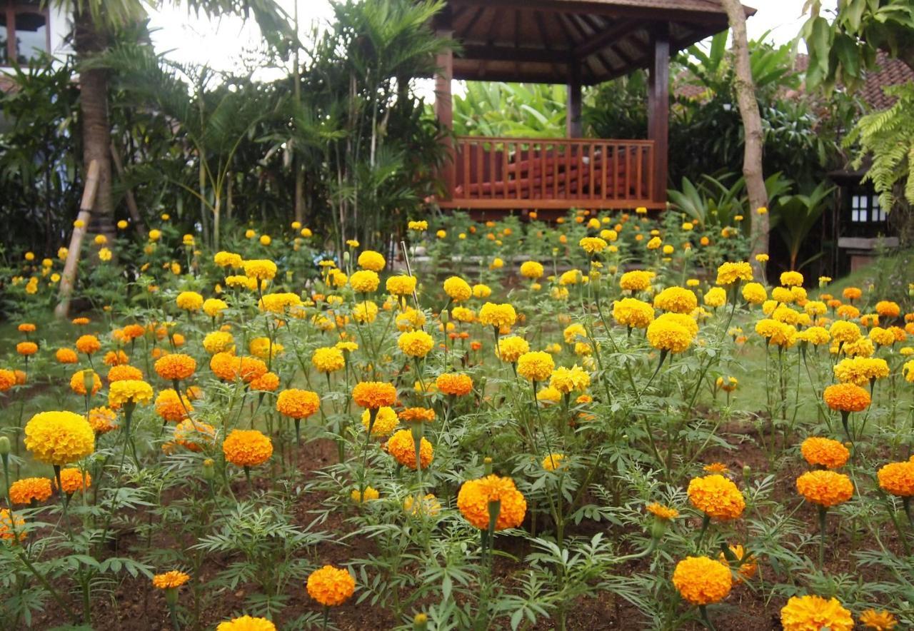 Hotel Yulia Village Ubud (Bali)
