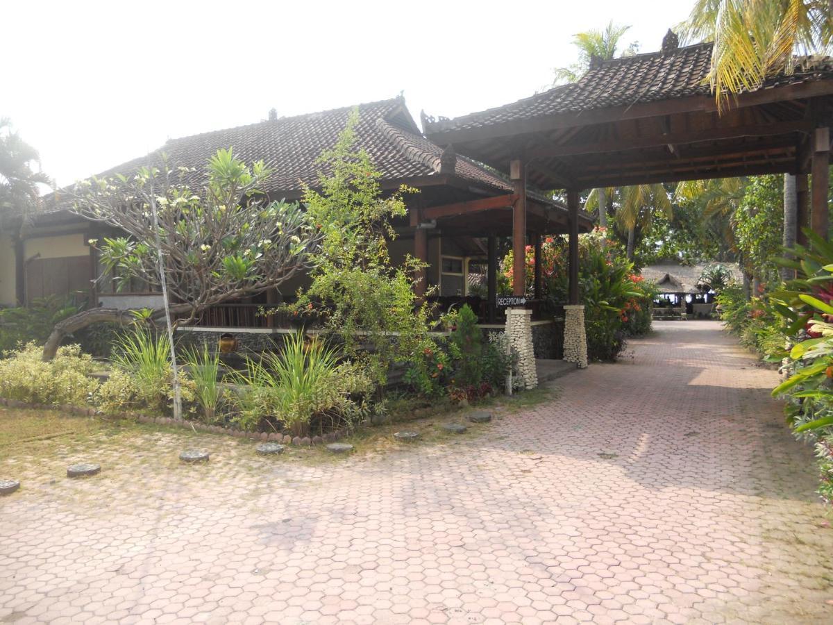 Bali Lovina Hotel 3*