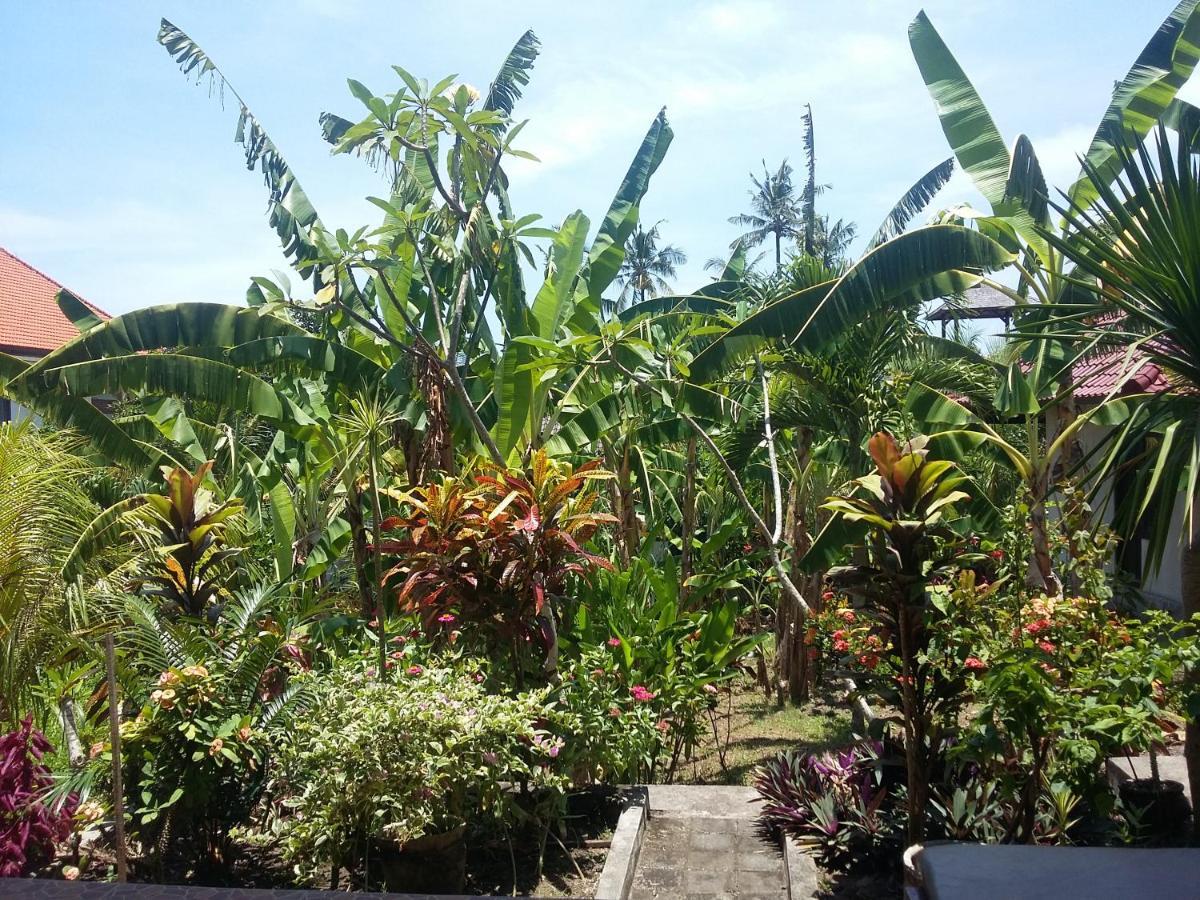 Surya Bed & Breakfast