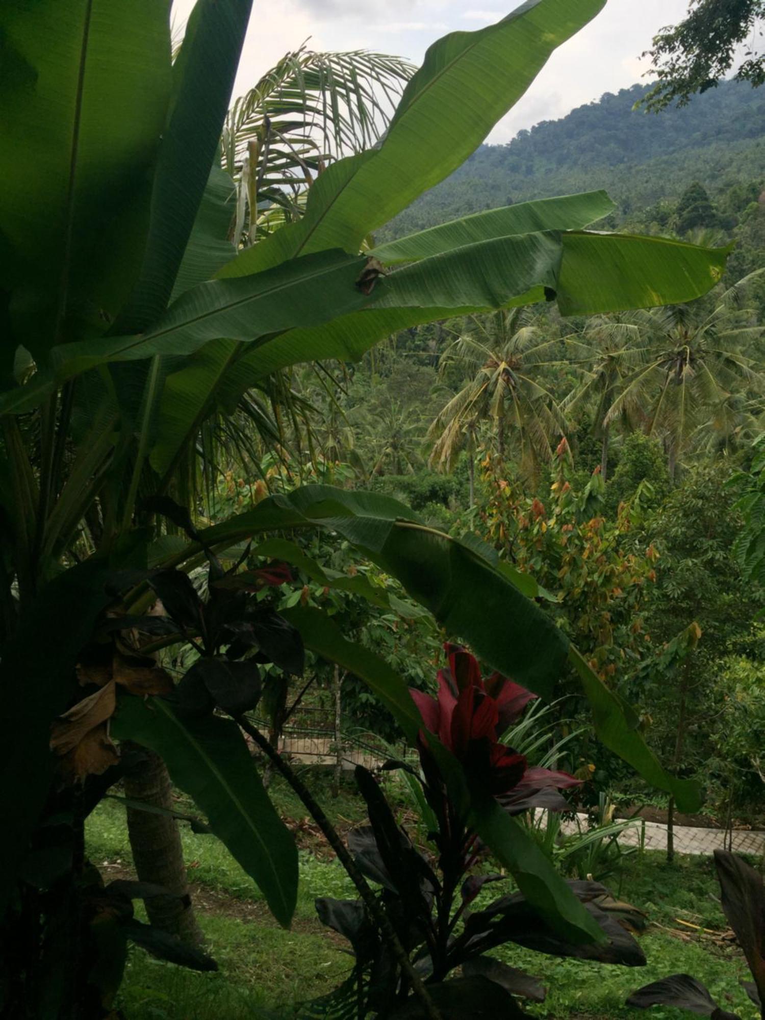 Resort Jembrana Negara (Bali)