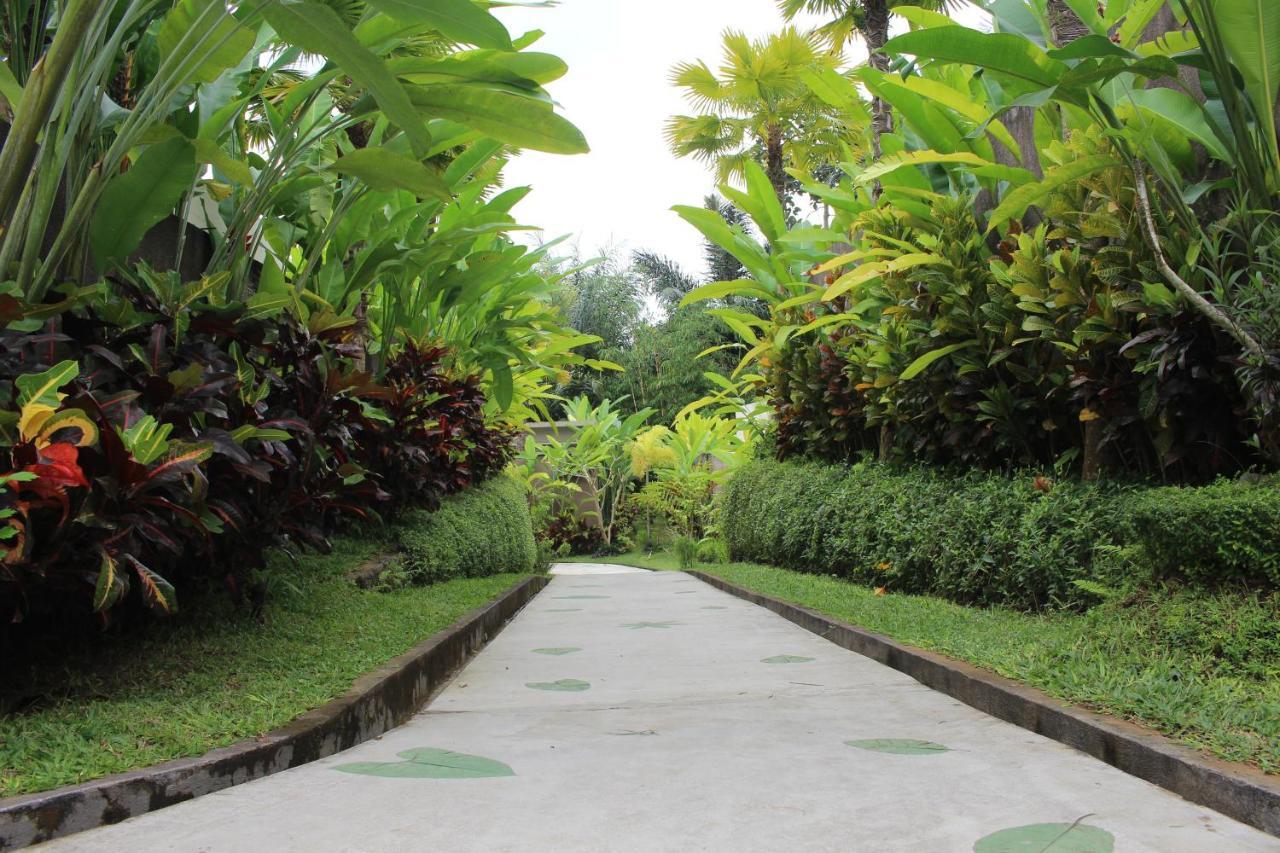 Senetan And Villa Ubud (Bali)