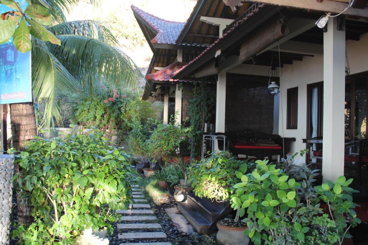 Bali Coral Amed (Bali)